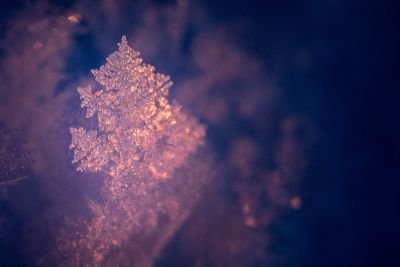 Marco photo givre Laponie aurores boréales