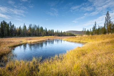 Jour 6 : Randonnée sur un sommet du Parc National
