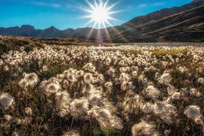 Jour 6 : Dernier jour de randonnée dans un vallon sauvage