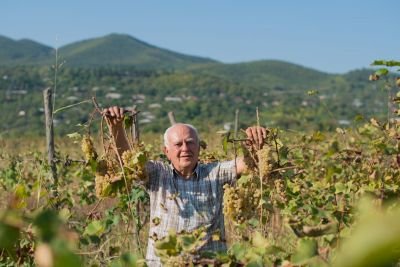 Jour 3 - Escapade familiale dans la région viticole Kakhétie