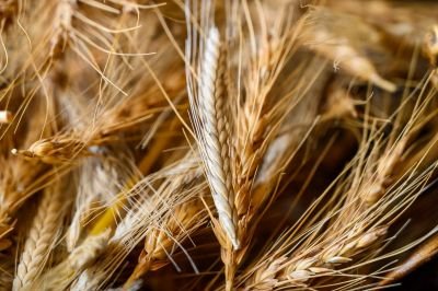 Jour 8 - Massif méconnu de Khvamli