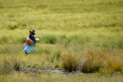 Scène de vie dans la pampa péruvienne