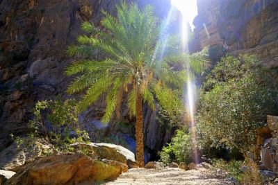 Jour 3 : Sifah – Wadi Al Hail – Plateau de Selma