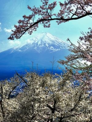 © Thierry Mussot - Jour 6 :   Ville thermale de Hakone aux pieds du Mont Fuji Jour 6 :   Ville thermale de Hakone aux pieds du Mont Fuji