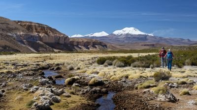 Trekking dans le Parc National Lauca
