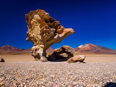 Le fameux Arbre de Pierre , non loin du désert de Dali et ses formes fantasmagoriques