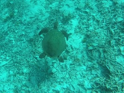 © Sylvain Lenglart - Archipel de Wayag Archipel de Wayag