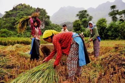 Jour 12 : Cao Bang - Huu Lien