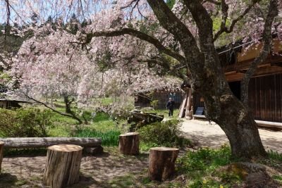 Jour 15 : randonnée sur la Nakasendo Jour 15 : randonnée sur la Nakasendo