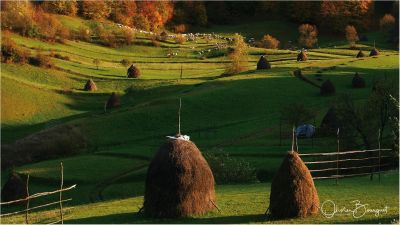 Jour 2 - Charmes irrésistibles du Maramurès et son architecture en bois
