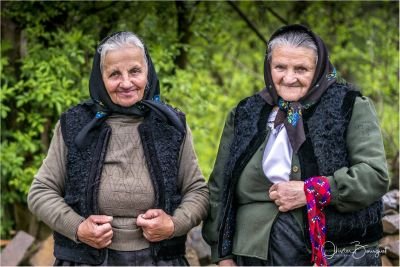 Jour 15 - Retour à Paris OU extension