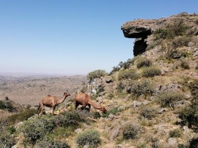 Jour 4 - Randonnée dans le Wadi Darbat et Djebel Samhan