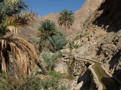 Jour 12 - Randonnée dans le Wadis Al Hautah