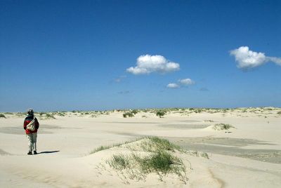 Dunes du Texel Pays-Bas