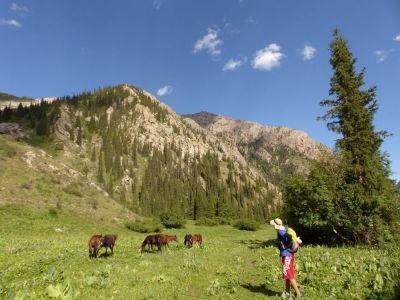 La randonnée du jour et les chevaux en liberté vers la cascade de Chaar