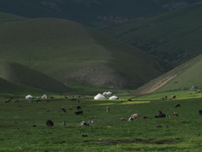 Yourtes et Jailoo, le paturage des semi-nomades