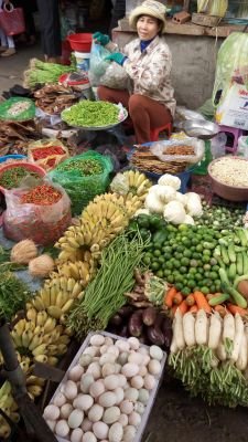 © Terres Oubliées - Jour 6 : Battambang, marché local, cours de cuisine et train de bambou Jour 6 : Battambang, marché local, cours de cuisine et train de bambou