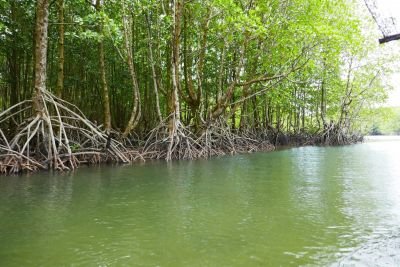 © Terres Oubliées - Jour 18 : Direction le sud du Cambodge Jour 18 : Direction le sud du Cambodge
