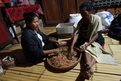 Jour 3 : Vol pour Ende et Transfert vers Moni