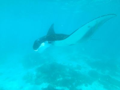 Jour 14 : Vol pour Denpasar – Sanur