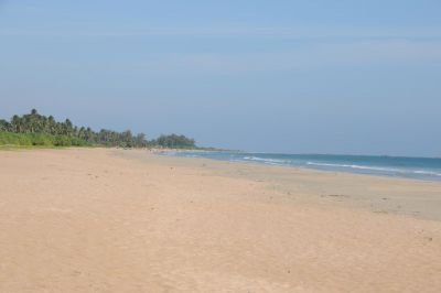 Jours 13 et 14 : Mer turquoise et plages de sables fins bordés de cocotiers à Nilaveli