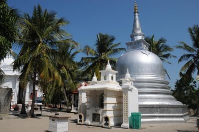Jour 16 : Embarquement vers la petite île de Nagadeepa