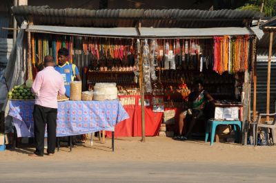 Jour 2 : Colombo – Habarana, au cœur de la nature