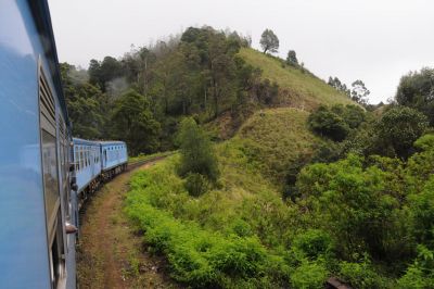 Jour 8 : Kandy – Nuwara Eliya – Bandarawela, sur la route du thé
