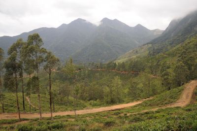 Jour 10 : Randonnée, Haputale – Idalgashinna – Lower Bray Estate Ohiya