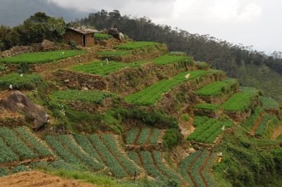 © Sylvain Lenglart - Jour 6 : Knuckles Est - Kandy Jour 6 : Knuckles Est - Kandy