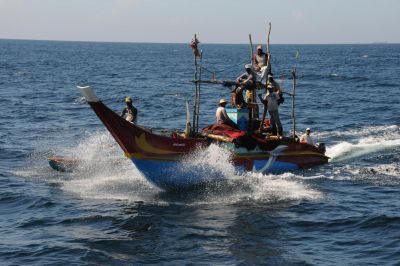 © Sylvain Lenglart - Jour 13 : Mirissa : à la rencontre des baleines Jour 13 : Mirissa : à la rencontre des baleines