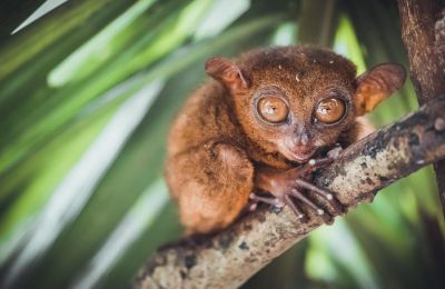 Jour 15 : Arrivée en France