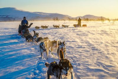 Jour 3 : Départ pour notre itinérance en traineau