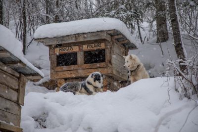 Jour 1 : Vol Paris Québec