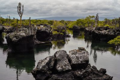 © Sylvain Lefebvre - Equateur Equateur
