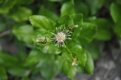 Jour 9 : Remontée de la vallée
