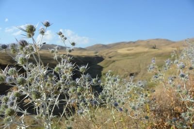 Jour 5 - Village de Dsegh