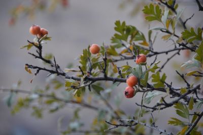 Jour 9 - Balades et montagnes arides