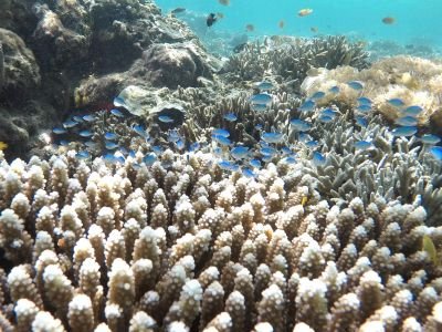© Sylvain Lenglart - Jour 10 : Découverte de la baie de Aljui Jour 10 : Découverte de la baie de Aljui