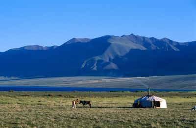 Campement de nomades non loin du lac Uvs
