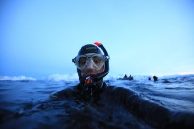 Jours 2 à 7 : Sorties quotidiennes en bateau à la rencontre des orques et des baleines