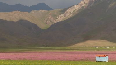 © Matthieu Libeer - Sur le chemin du retour,  dans la gigantesque vallée d'Alay, face au Pamir Sur le chemin du retour,  dans la gigantesque vallée d'Alay, face au Pamir
