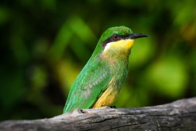 Jour 5 : randonnée communautaire ou farniente ? Jour 5 : randonnée communautaire ou farniente ?