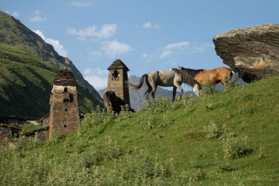 Jour 4 : des plaines à la montagne, direction la Touchétie