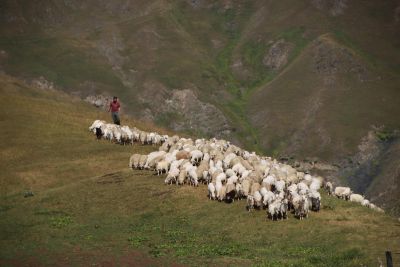 Jour 8 : randonnées et rencontres au cœur de la Touchétie