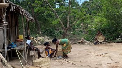 Jours 4 & 5 :  Ambanja :  2 jours d'immersion dans la Vallée de Sambirano
