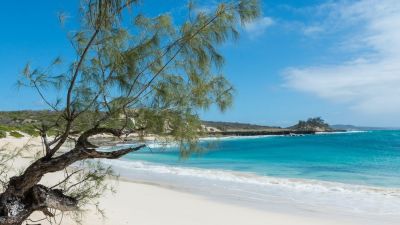 Jour 8 : Journée dans les 3 baies