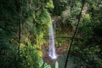 Jour 9 : Le Parc National de la Montagne d’Ambre