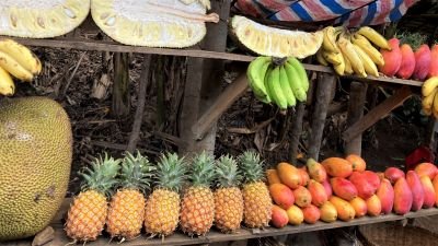 Jour 10 : Joffreville - Tsingy rouges - Réserve Spéciale de l'Ankarana