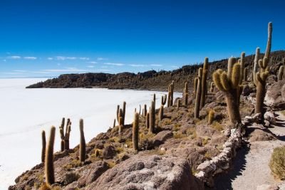 © Terres Oubliées - L'île de l'Inca huasi au beau milieu du Salar L'île de l'Inca huasi au beau milieu du Salar
